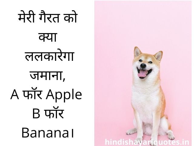 Best Funny Shayari in Hindi